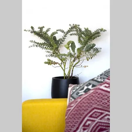 Apartment Juan Les Pins, Pres De La Antibes