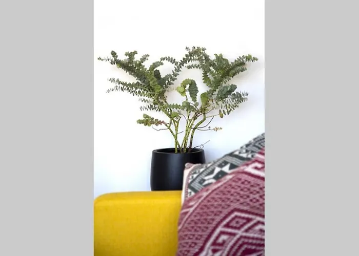 公寓 Juan Les Pins, Pres De La 昂蒂布